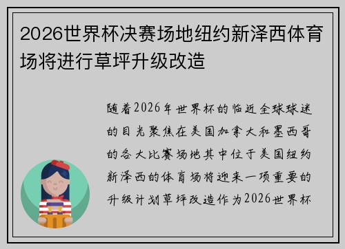 2026世界杯决赛场地纽约新泽西体育场将进行草坪升级改造